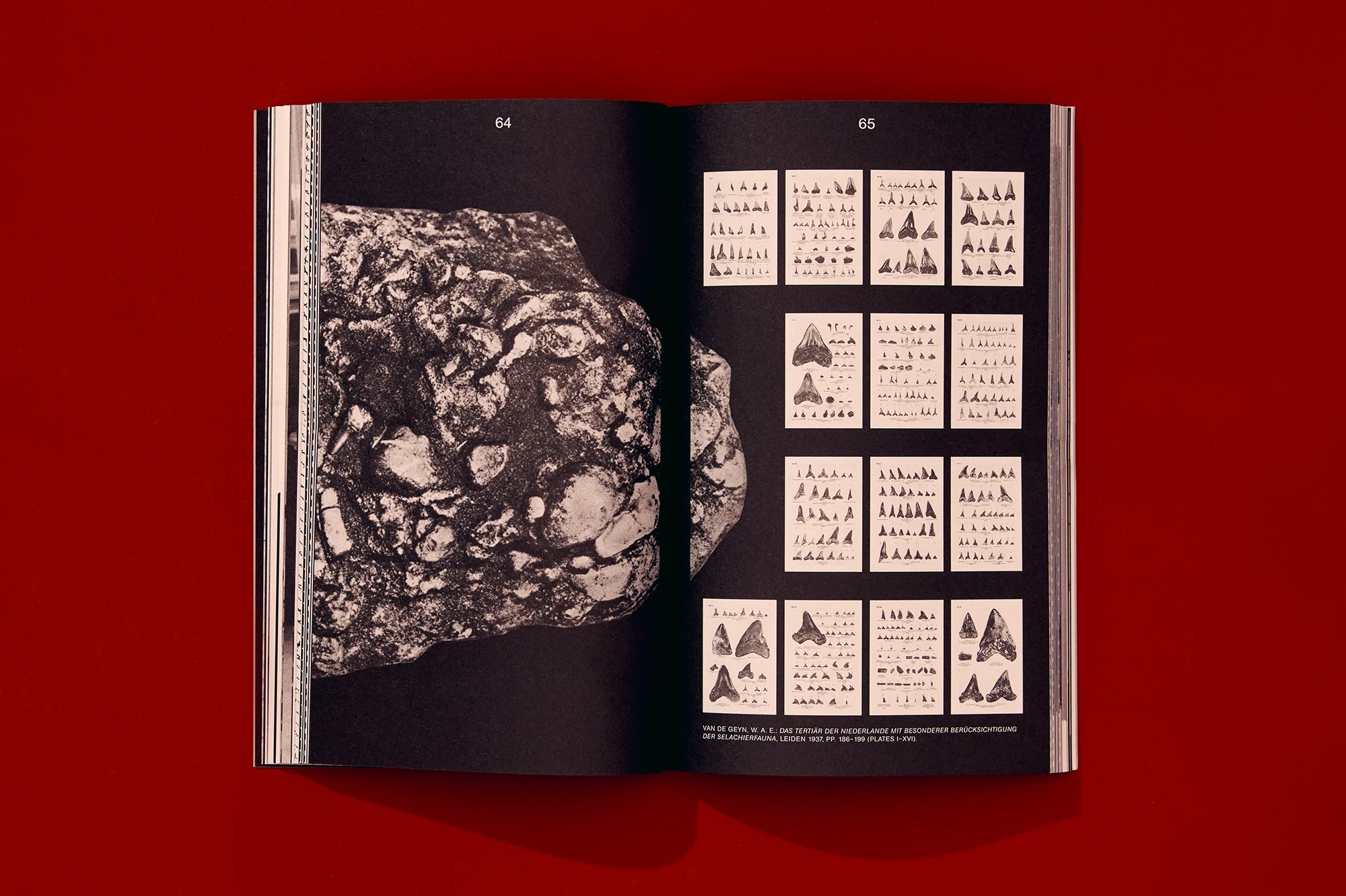 © Hagen Verleger | Book Design, Typography, Research