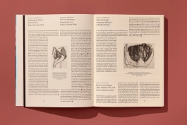  © Hagen Verleger | Book Design, Typography, Research